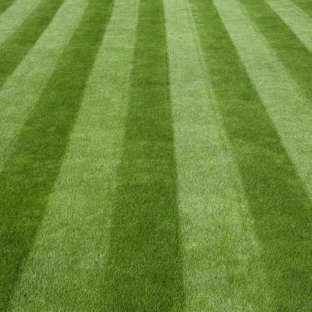 stripes in grass