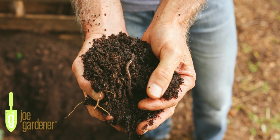 earthworm in soil jg 900x450 (1).webp