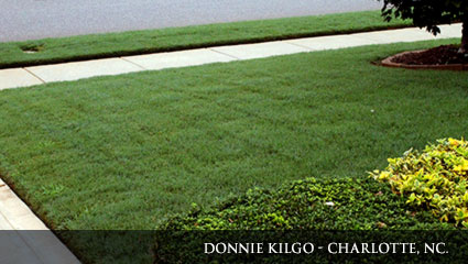 Green lawn Bright green lawn fertilized with Milorganite.