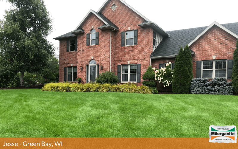 Tall and healthy lawn in Wisconsin thanks to Milorganite.