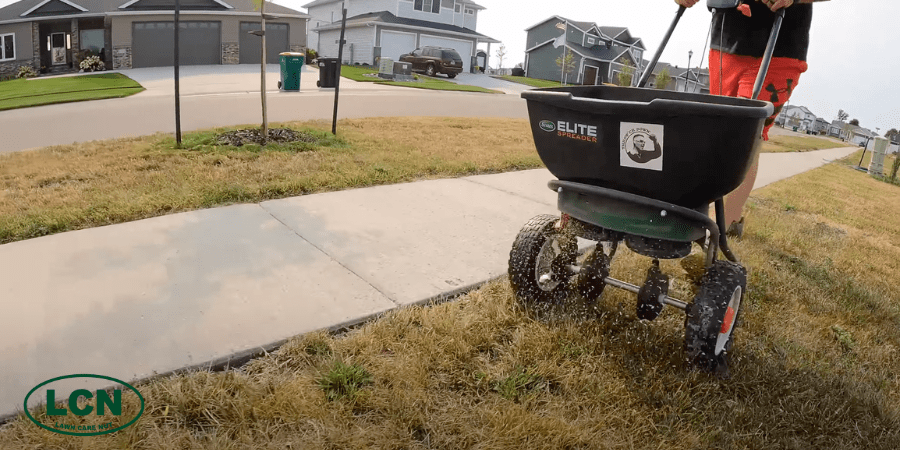 black spreader distributing grass seed over grass