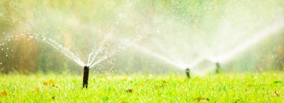 irrigation_555x201.webp