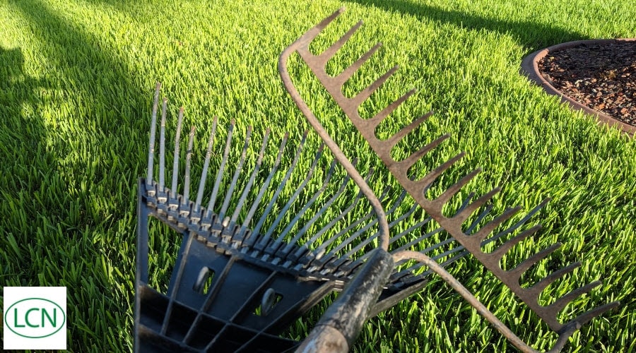 Rakes in the lawn