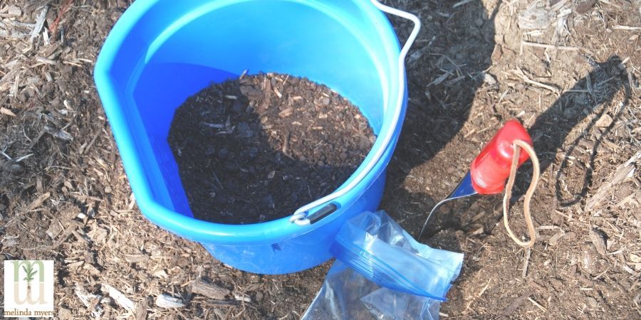 Test your soil before diagnosing disease 