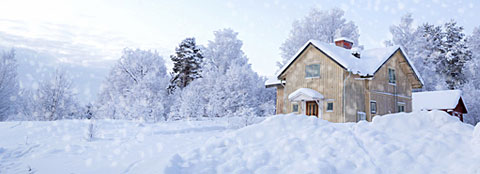 snow in yard and covering trees