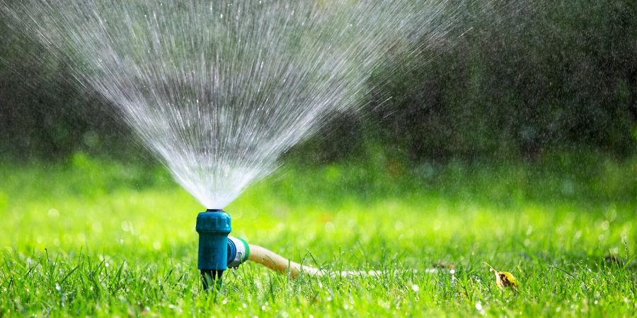Warm Season Water Lawn -900x450-min.jpg
