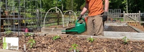 Gardening_hacks_thumbnail_555_x_201_px-min.jpg