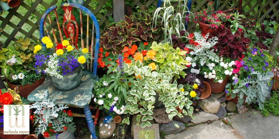 container gardening 900x450.webp