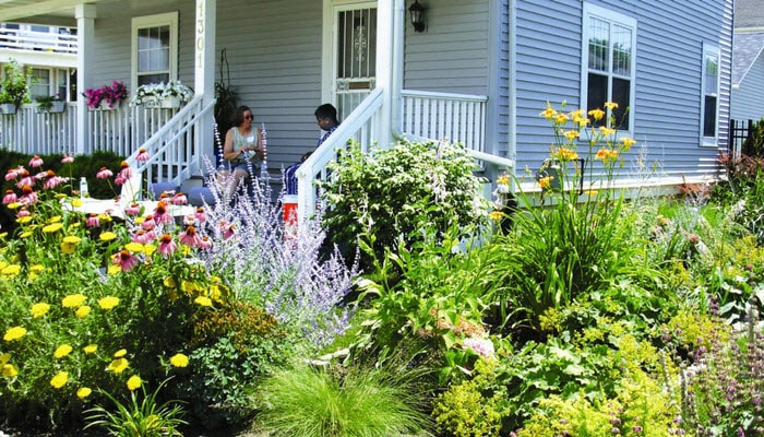 Rain Garden in the Front of a House