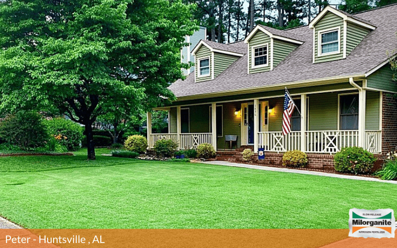 Green and healthy lawn in Alabama fertilized with Milorganite fertilizer. 