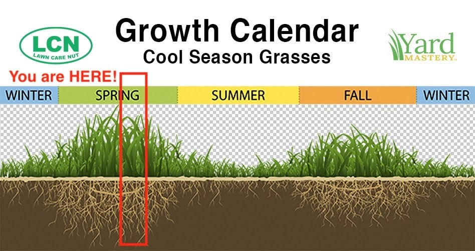 LCN spring growth calendar-min.jpg
