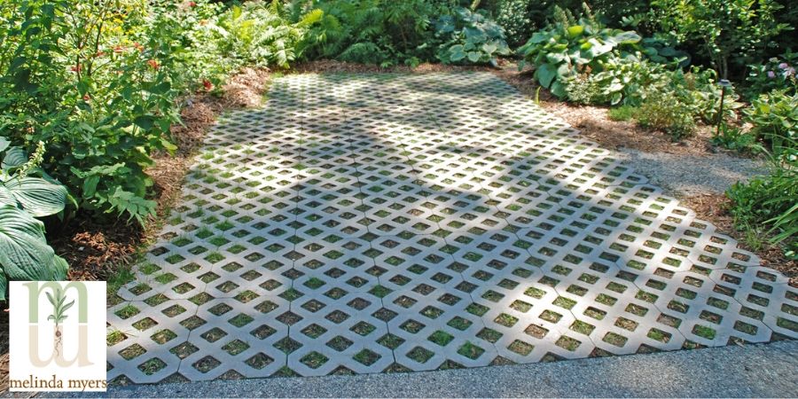 permeable pavement with grass growing