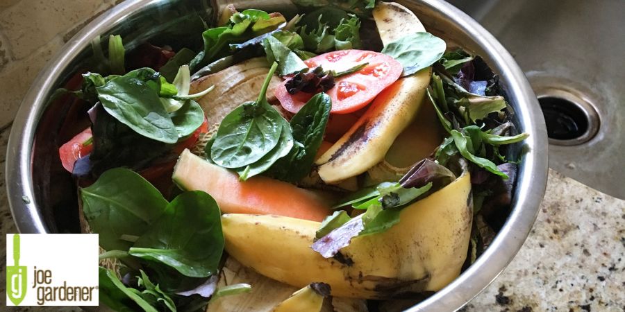 kitchen compost in a bowl