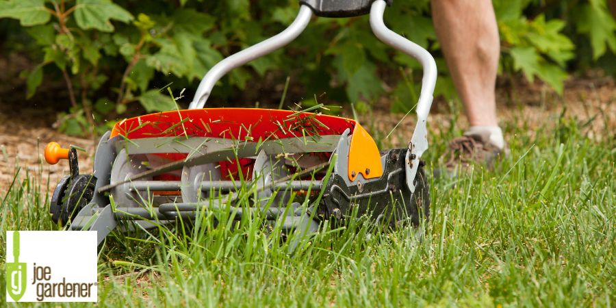 push mower over green lawn