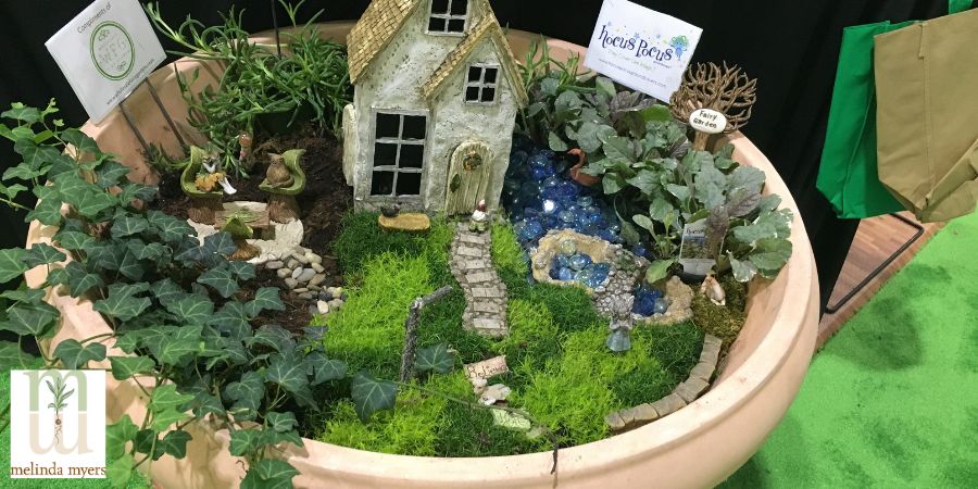 fairy garden in pot
