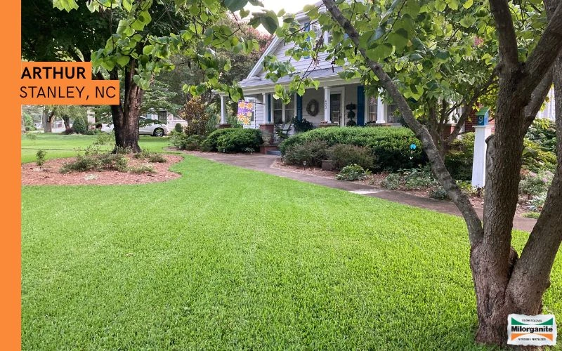 Bright green lawn fertilized with Milorganite. 