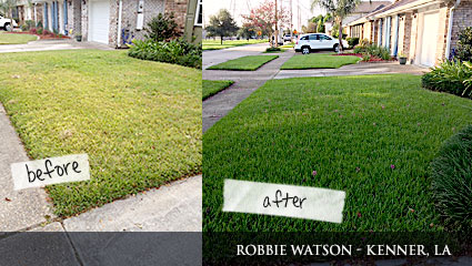 milorganite lawn before grass application testimonials