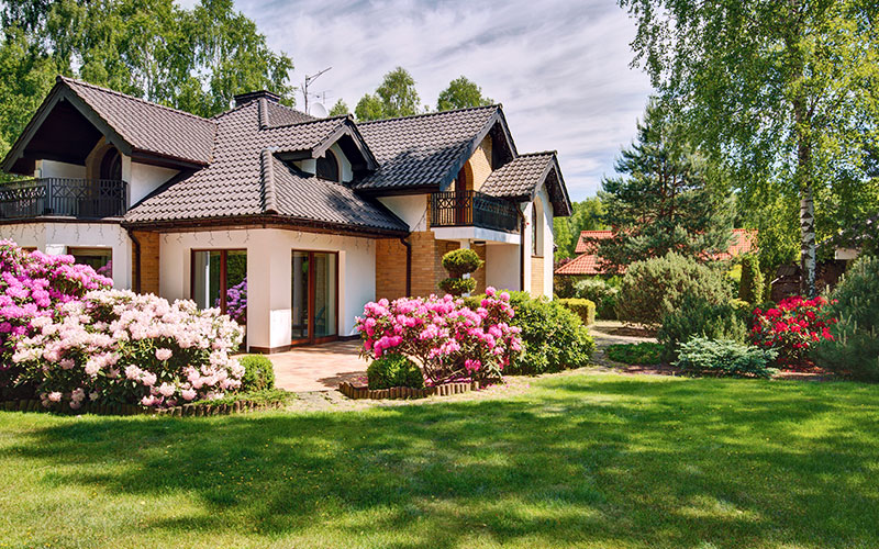 house and green lawn