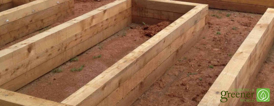 Empty raise garden beds.