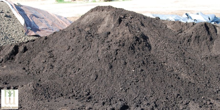 Pile of compost