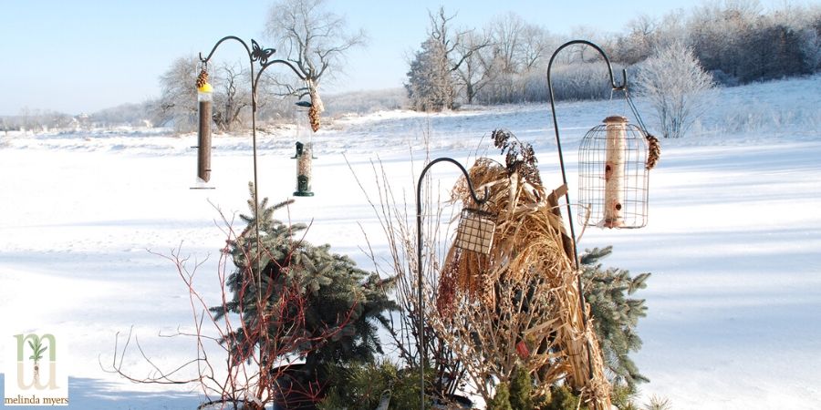 Winter Bird Feeders