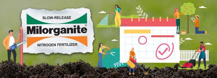 Milorganite Fertilizer Rate and Schedule