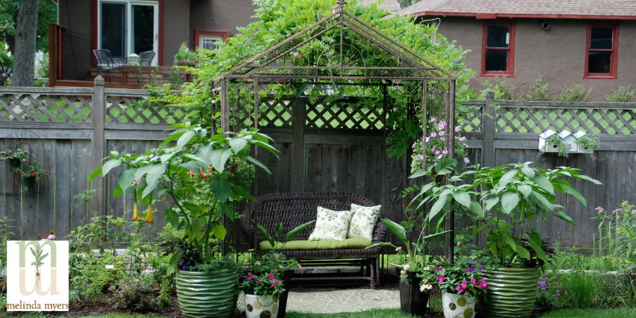 Pergola in a garden