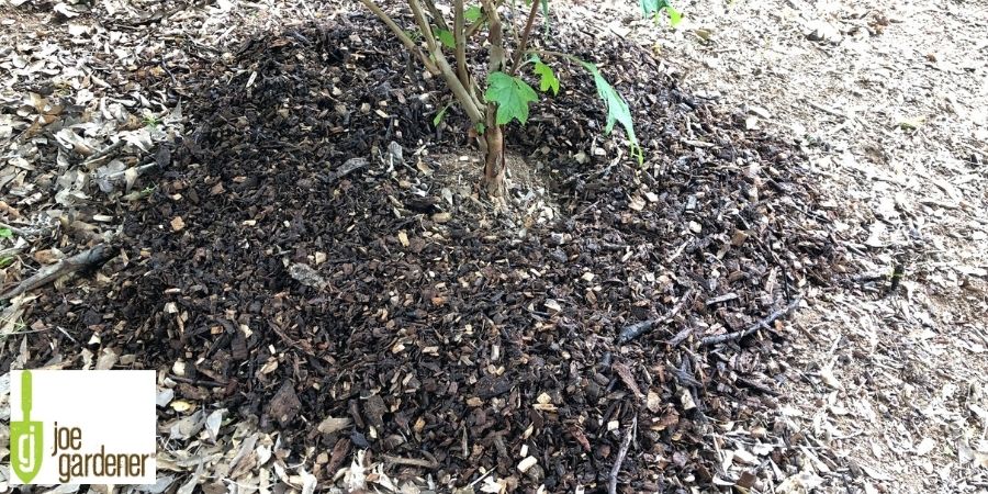 wet mulch around a tree