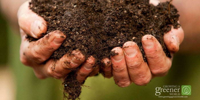 Hands holding soil and compost