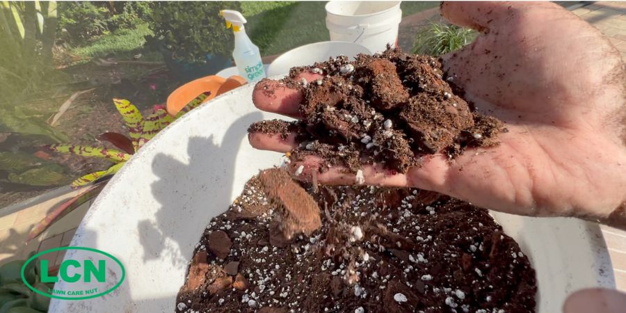 hand holding soil