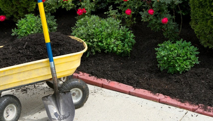 Adding mulch to a garden bed