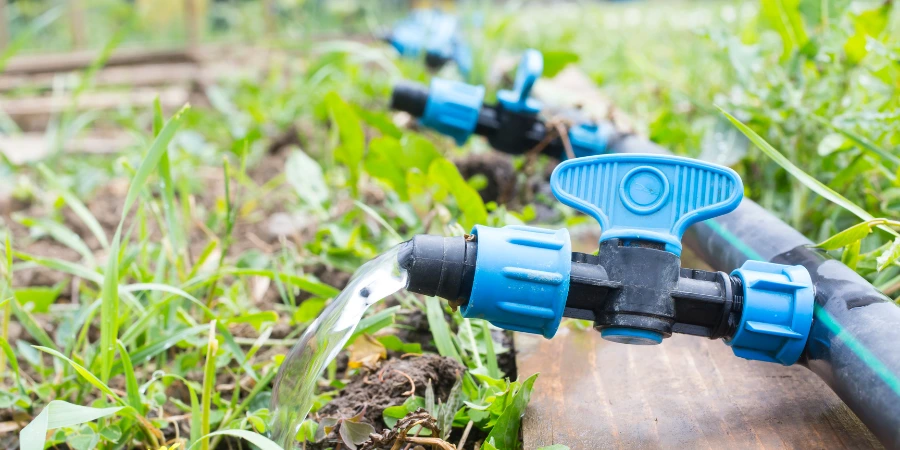 drip irrigation