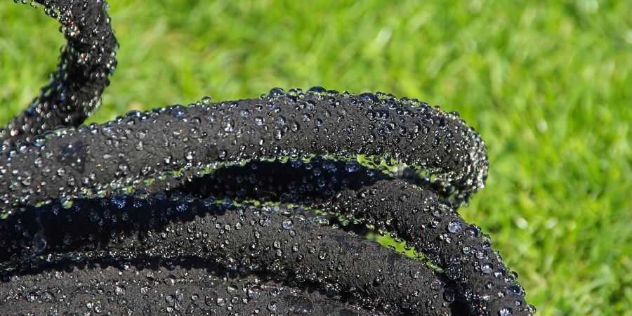 Melinda Myers Preparing lawn for drought with a drip hose
