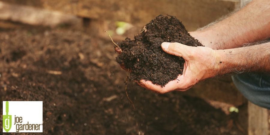 hands holding compost