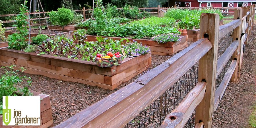 raised bed gardens 