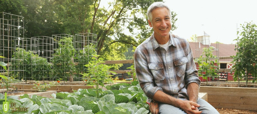 Joe Lamp'l at his home farm garden