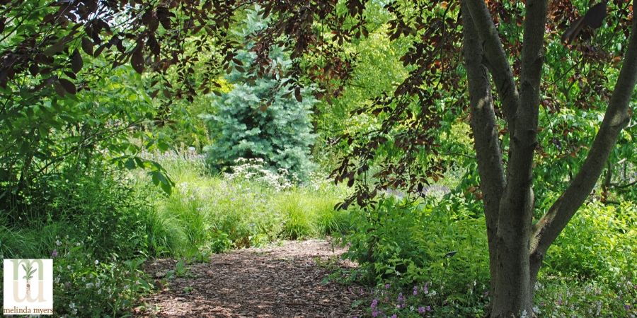 connect with nature on a hiking trail