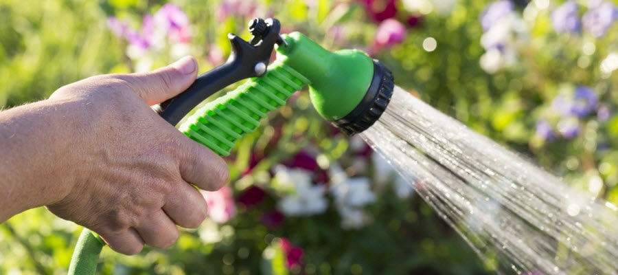 Watering a Garden with a Hose