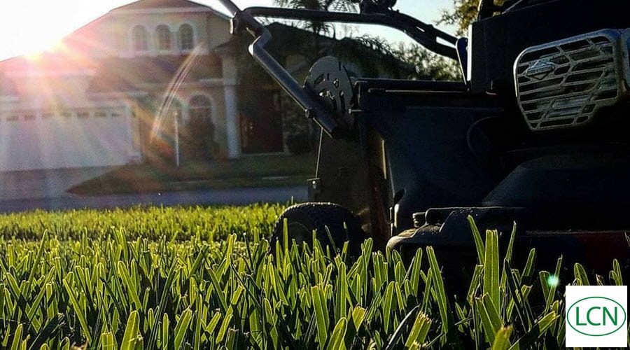 Lawn mower in the grass  