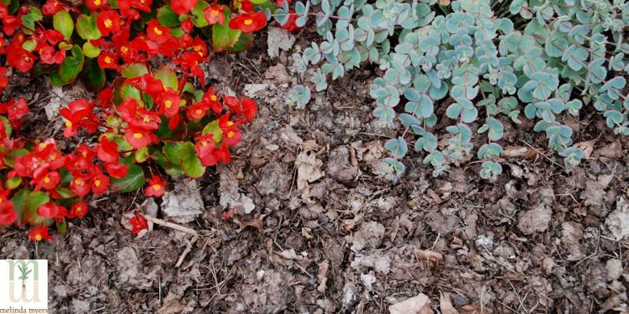 Recycle Yard Leaves in Garden