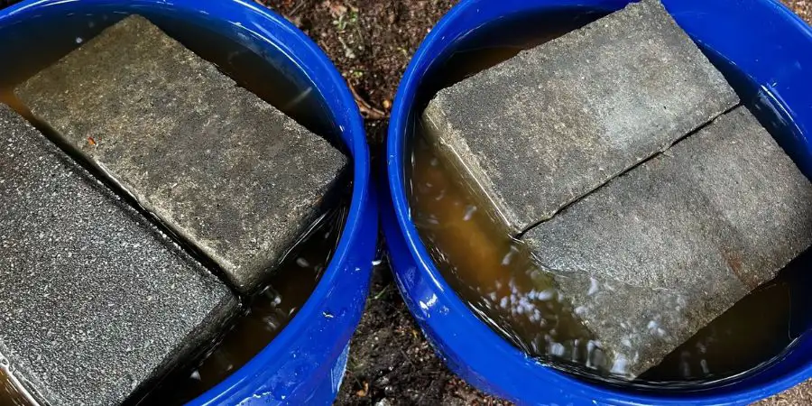 Blue Bucket with seeds in bag and bricks to keep them from floating