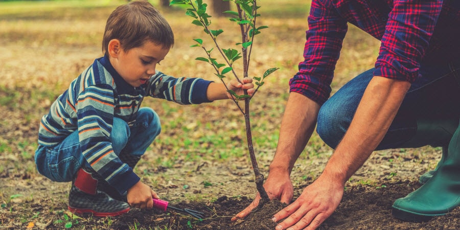 Dan and Son Planting a Tree