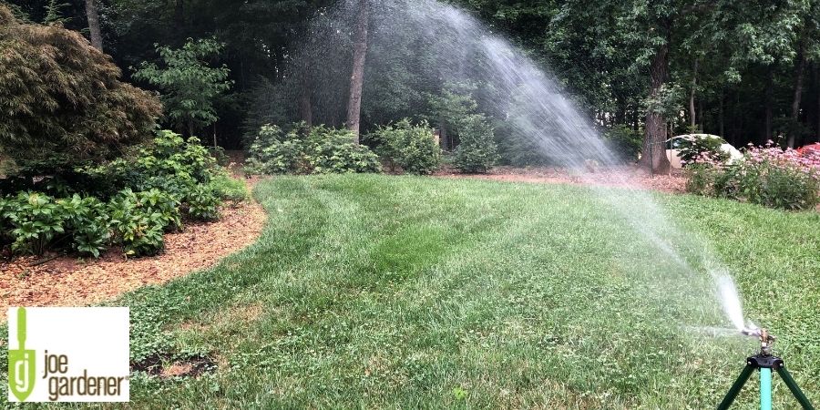 sprinkler spraying on lawn