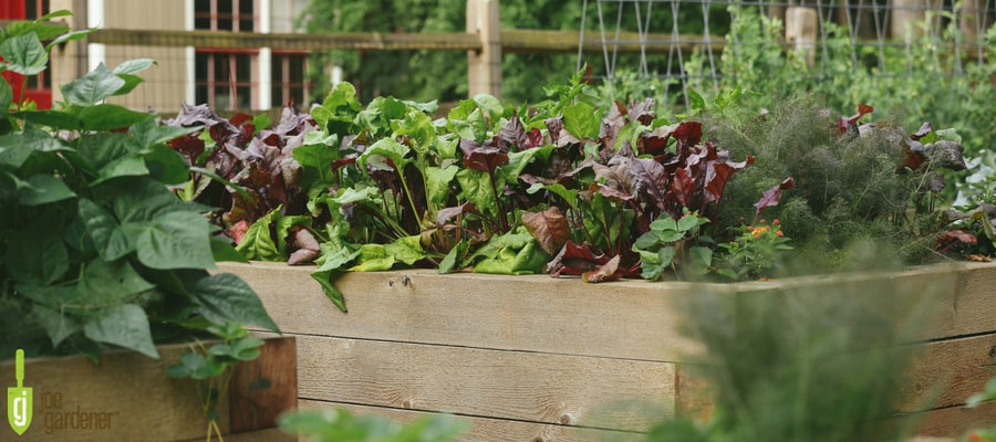 Raised garden bed